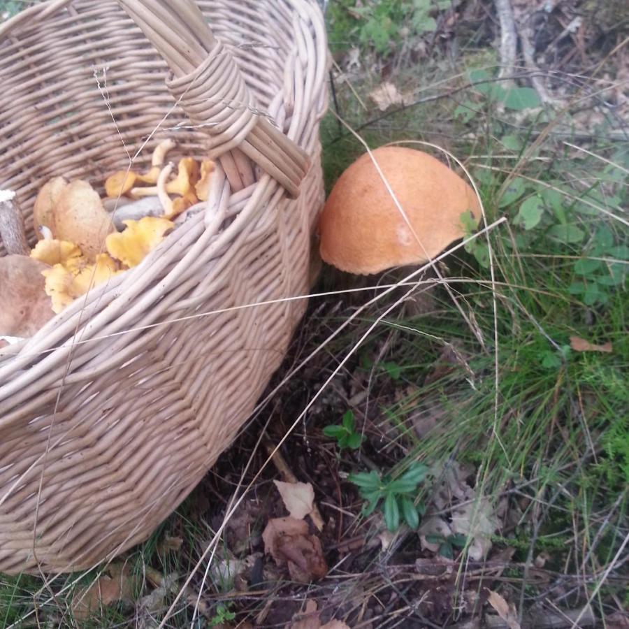 GilawyUroczysko Deresze别墅 外观 照片